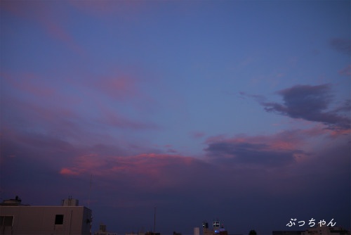 f0353990_18364518.jpg