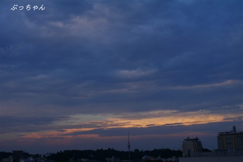 f0353990_18364611.jpg