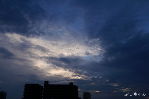 f0353990_18365686.jpg