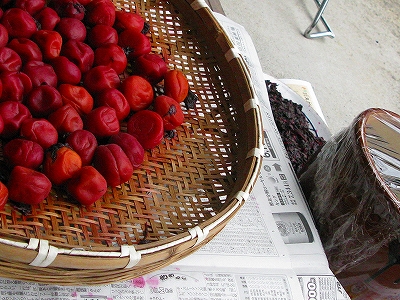 f0181394_23440470.jpg