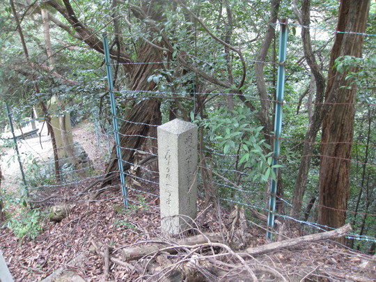 f0010195_23323162.jpg