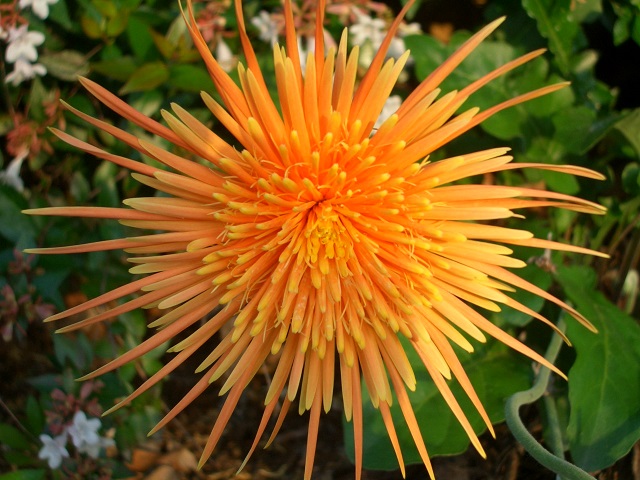f0346196_05593777.jpg