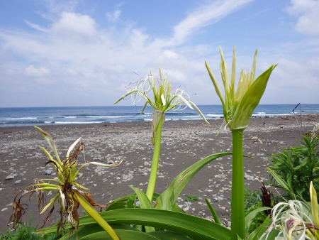 a0125598_22554898.jpg