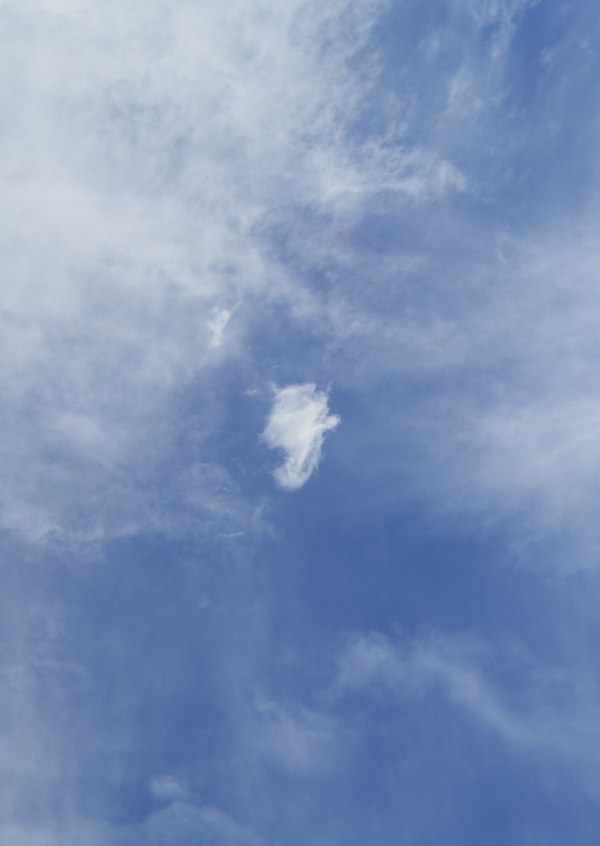 b0275998_11125320.jpg