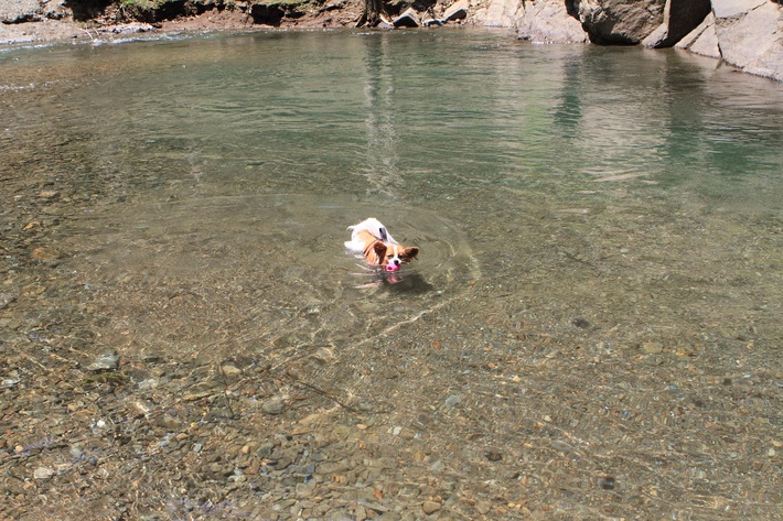 f0034602_9161488.jpg