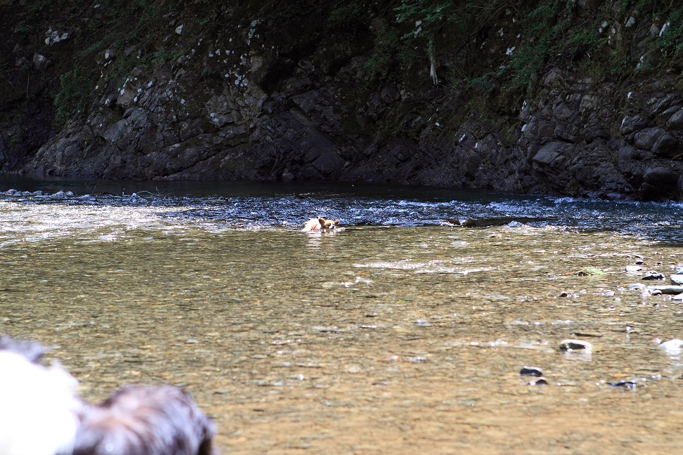f0034602_922121.jpg