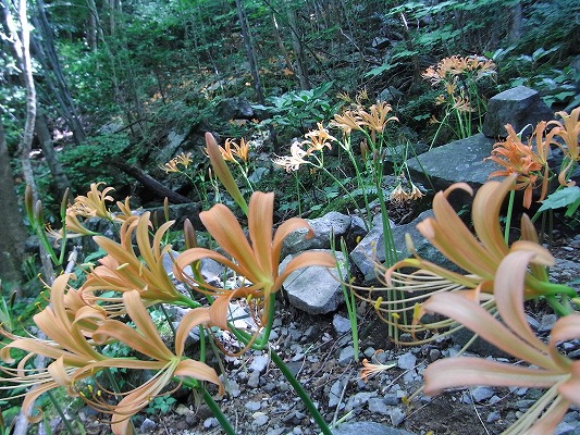 f0187402_18513239.jpg