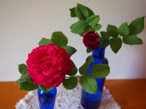 c0117007_17494918.jpg