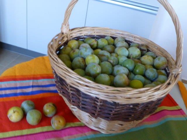 f0343811_15592994.jpg