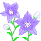 f0228619_136259.gif