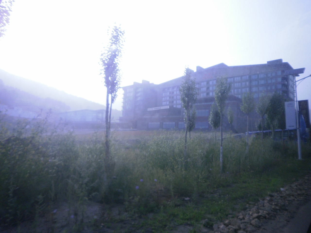 d0131522_22275360.jpg