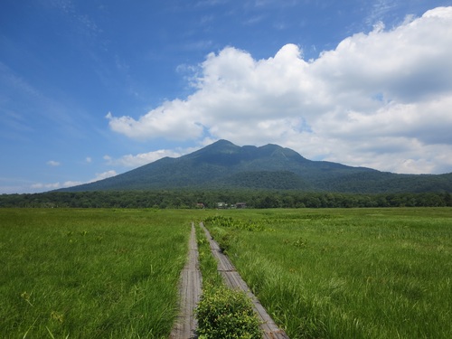 f0149422_22105590.jpg