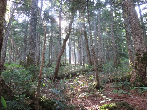 f0149422_2213976.jpg