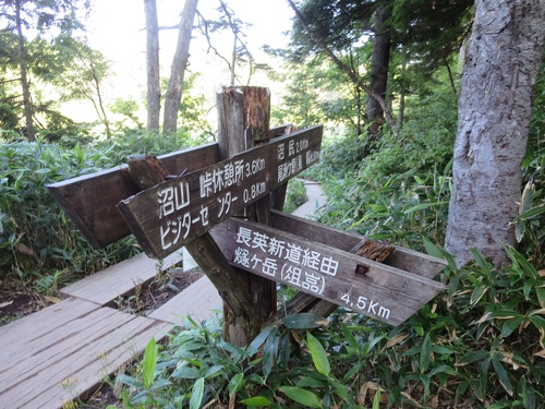 f0149422_221699.jpg