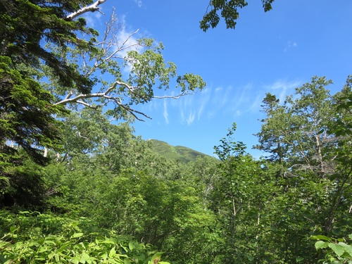 f0149422_222141.jpg
