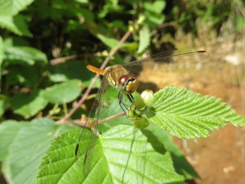 f0149422_2224575.jpg
