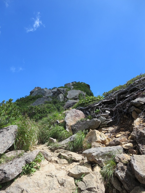 f0149422_2242434.jpg