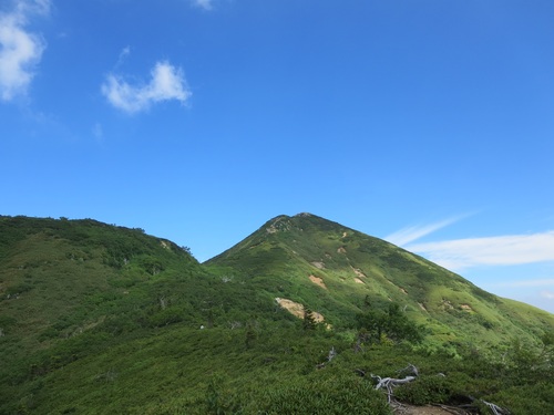 f0149422_22435.jpg