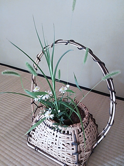 a0013423_102916.jpg