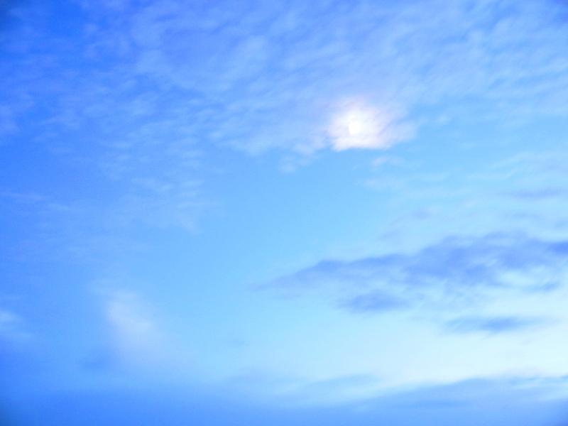 b0153224_2251494.jpg