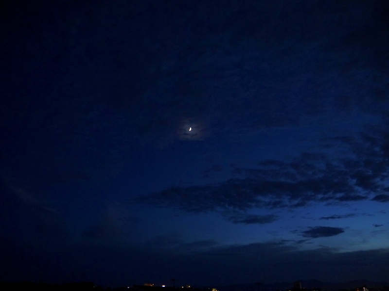 b0153224_22515070.jpg