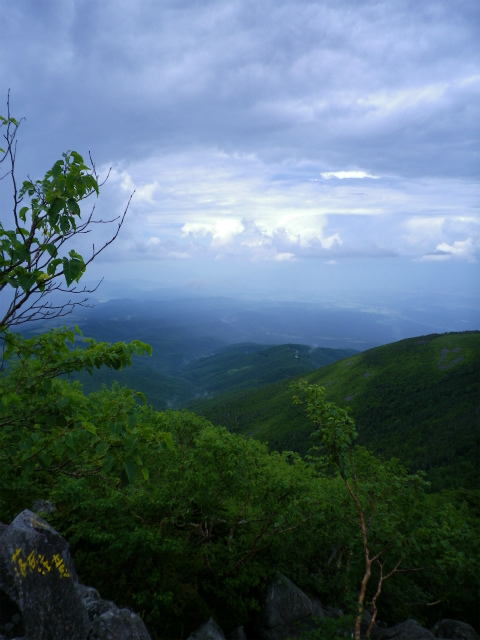 f0188324_20581157.jpg
