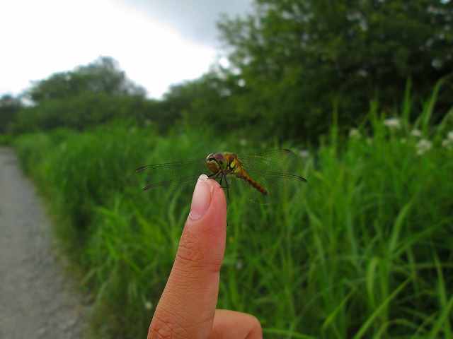 b0341527_23582610.jpg