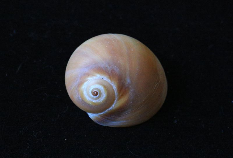 c0104227_13382291.jpg