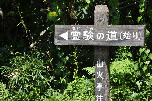 a0248728_8392271.jpg
