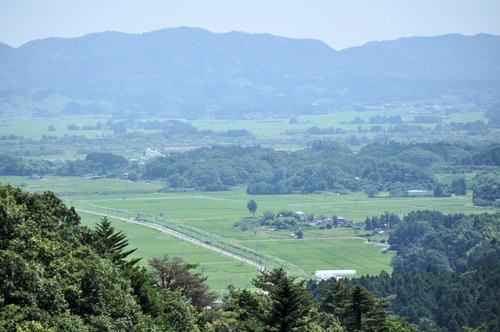 a0248728_8414574.jpg