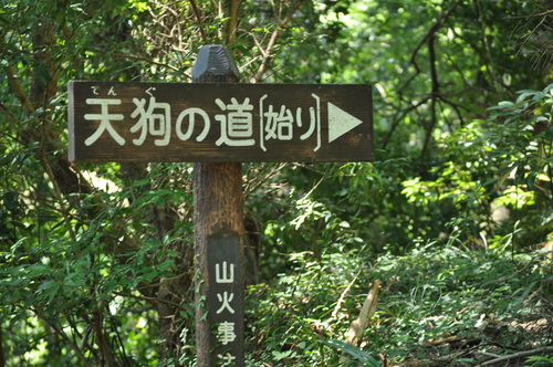 a0248728_8432170.jpg
