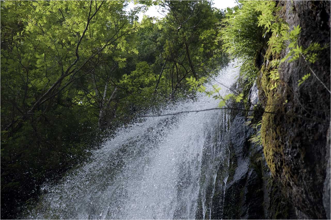 a0245331_1751478.jpg
