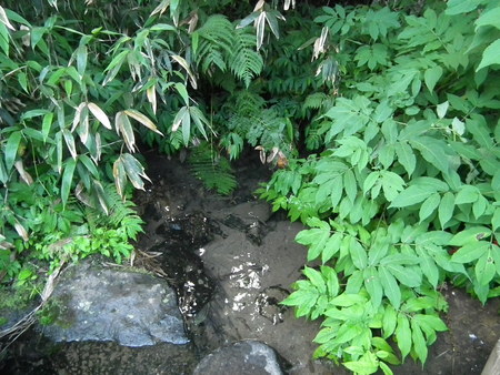 f0118332_18283156.jpg