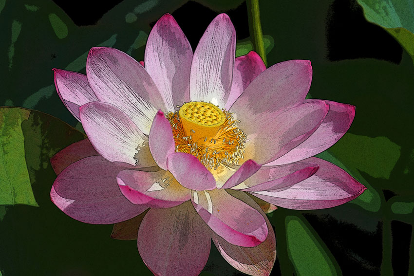 d0069235_6565367.jpg