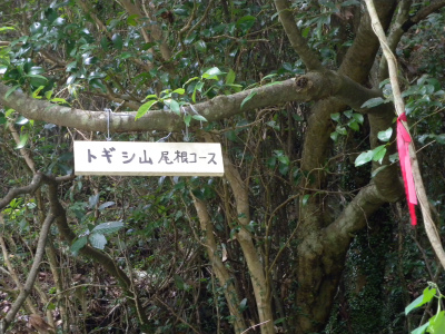 e0272335_21392382.jpg