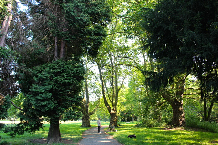 c0153740_20222158.jpg