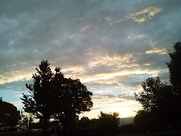 a0272241_1633725.jpg