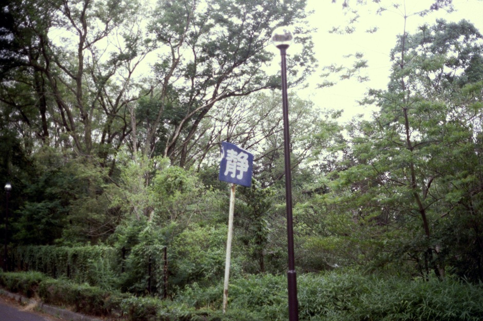 d0089742_2324922.jpg
