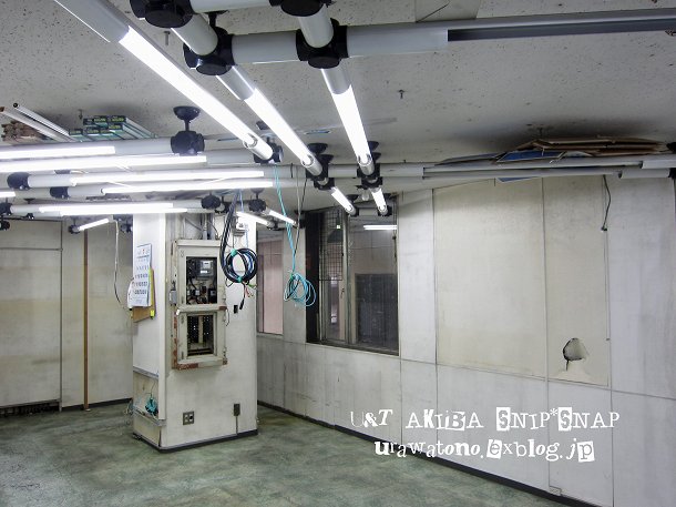 f0113163_107273.jpg