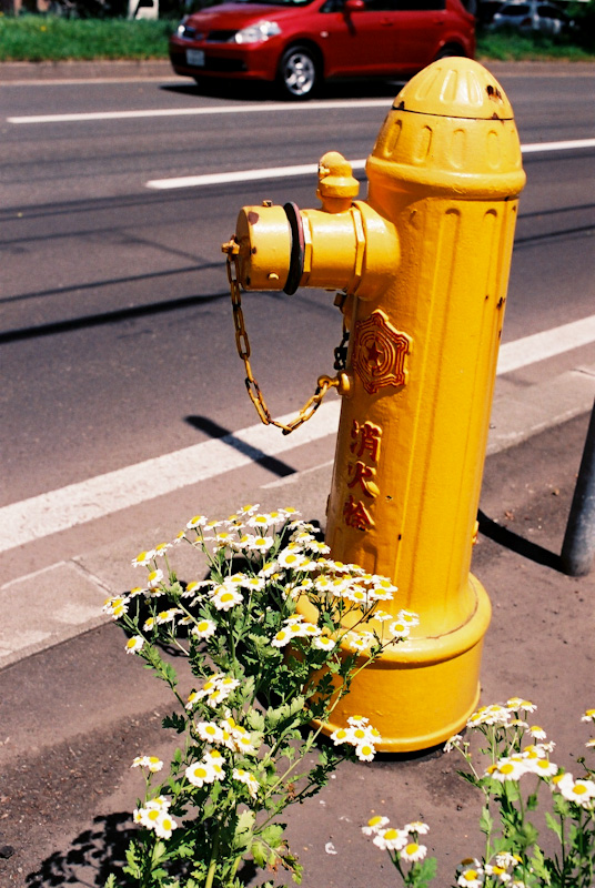c0084666_10462336.jpg