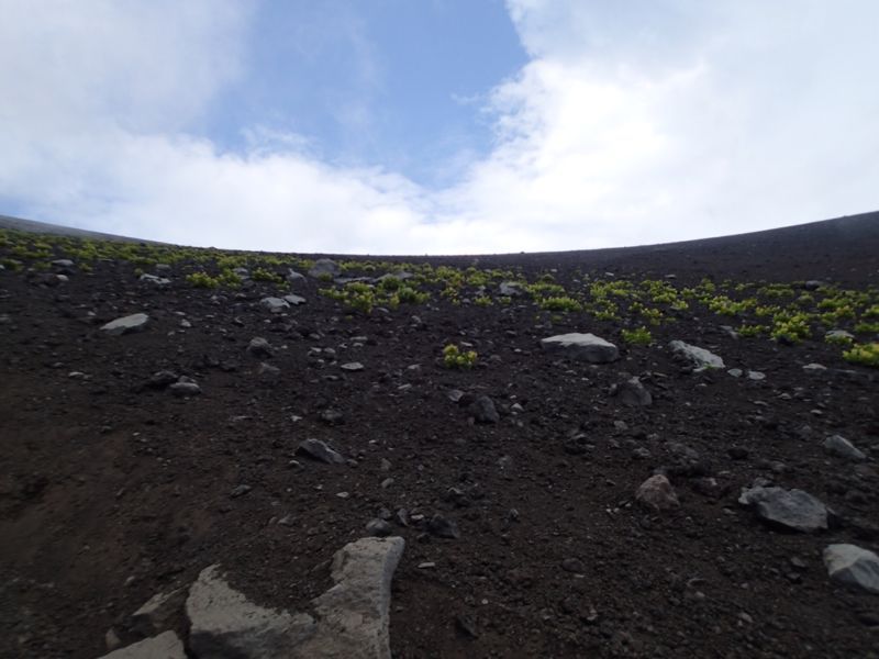 c0321967_843670.jpg
