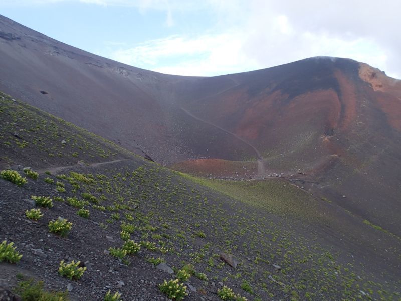 c0321967_844474.jpg