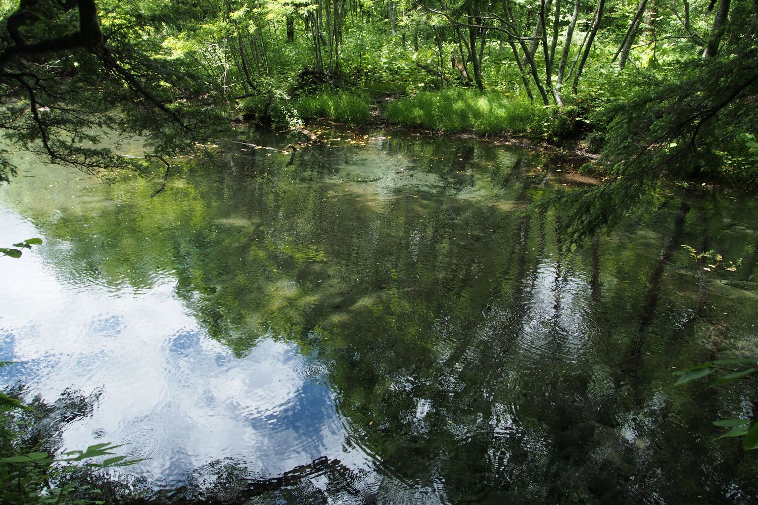 e0307372_16394247.jpg