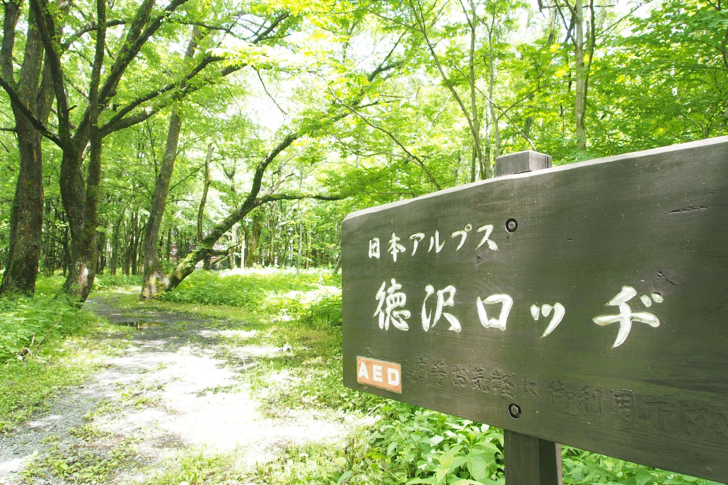e0307372_16463311.jpg
