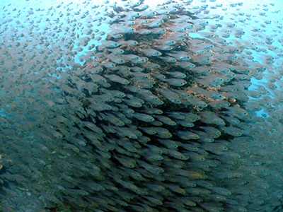 b0033573_17060959.jpg