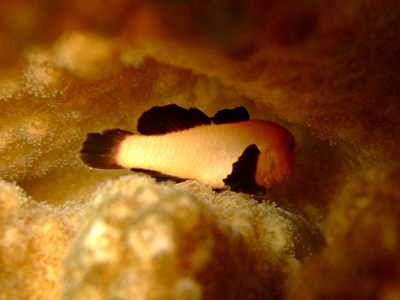 b0033573_17070125.jpg