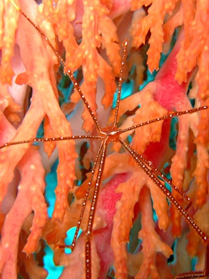b0033573_17073813.jpg