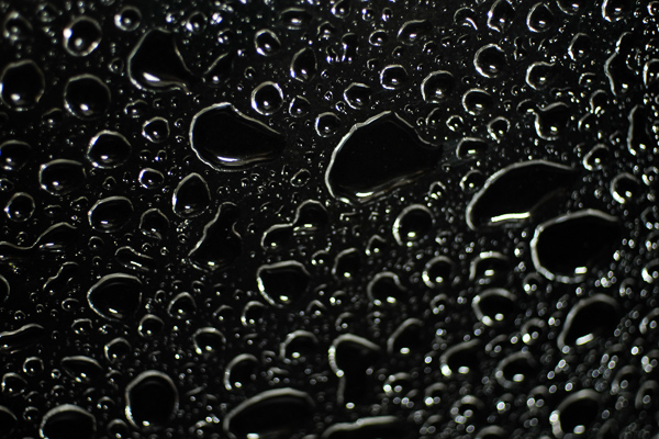 a0053783_21484327.jpg