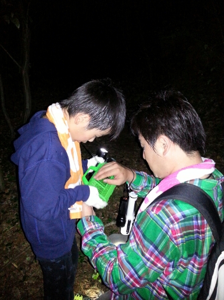 f0183484_0174144.jpg