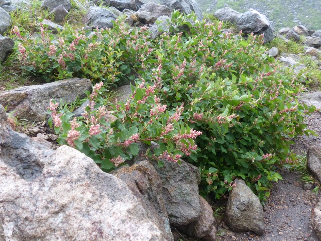 f0357487_0225527.jpg